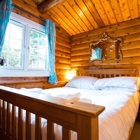 Woodpecker 3 Bedroom Trawsfyndd Holiday Village - Hosted By Seren Property Trawsfynydd Extérieur photo